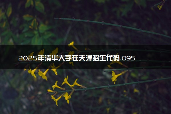 2025年清华大学在天津招生代码：0958 专业代码及报考指南