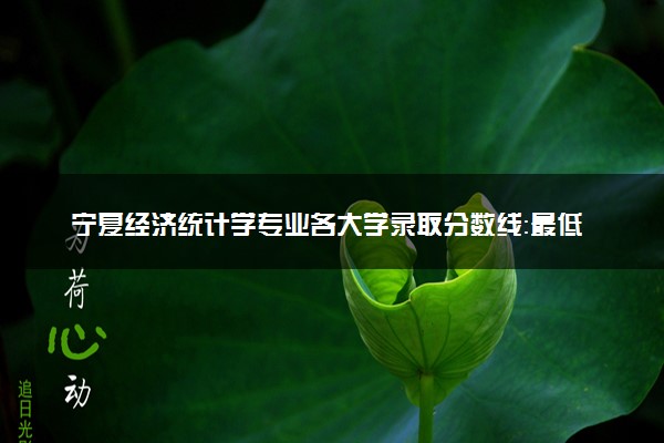 宁夏经济统计学专业各大学录取分数线：最低387分能上 开设院校及位次