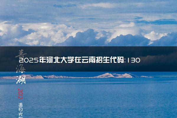 2025年河北大学在云南招生代码：1301 专业代码及报考指南