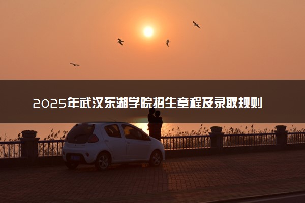 2025年武汉东湖学院招生章程及录取规则解读