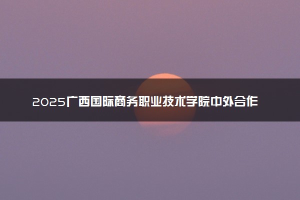 2025广西国际商务职业技术学院中外合作办学招生计划 各专业收费标准