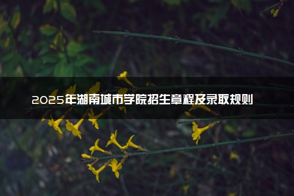 2025年湖南城市学院招生章程及录取规则解读