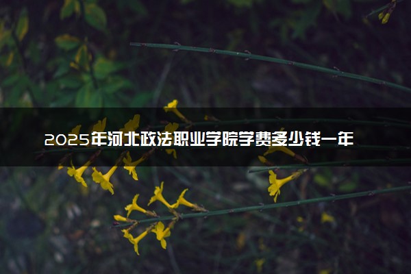 2025年河北政法职业学院学费多少钱一年及各专业收费标准一览表