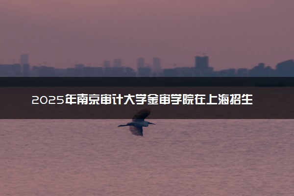2025年南京审计大学金审学院在上海招生代码及专业代码 南京审计大学金审学院上海代码是多少？怎么查询？