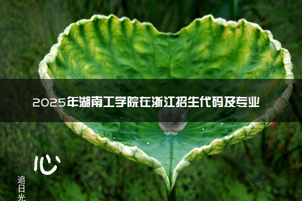 2025年湖南工学院在浙江招生代码及专业代码 湖南工学院浙江代码是多少？怎么查询？