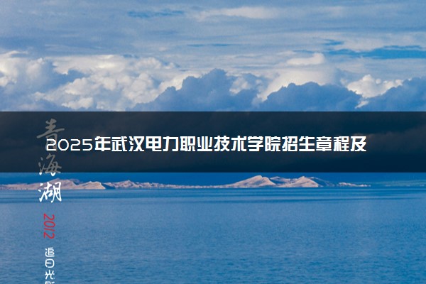 2025年武汉电力职业技术学院招生章程及录取规则解读