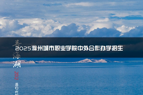2025滁州城市职业学院中外合作办学招生专业及计划 学费多少钱