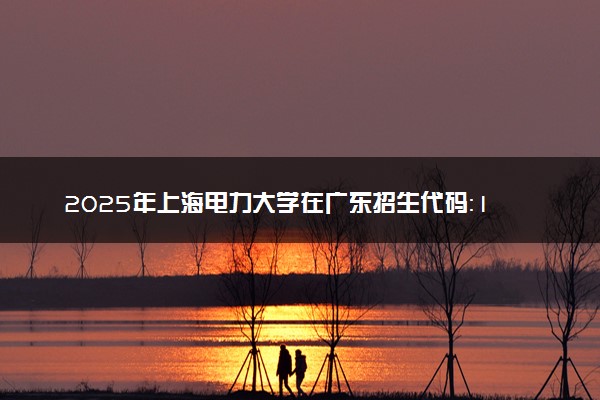 2025年上海电力大学在广东招生代码：10256 专业代码及报考指南