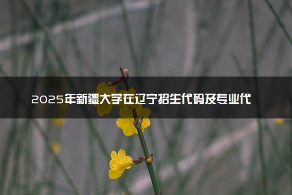 2025年新疆大学在辽宁招生代码及专业代码 新疆大学辽宁代码是多少？怎么查询？