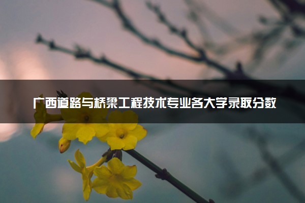 广西道路与桥梁工程技术专业各大学录取分数线：最低201分能上 开设院校及位次