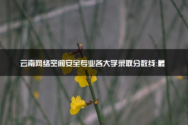 云南网络空间安全专业各大学录取分数线：最低435分能上 开设院校及位次