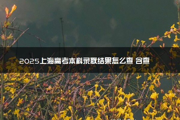2025上海高考本科录取结果怎么查 含查询时间及入口