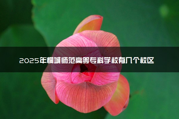 2025年桐城师范高等专科学校有几个校区及校区地址公交站点周边环境 新生在哪个校区