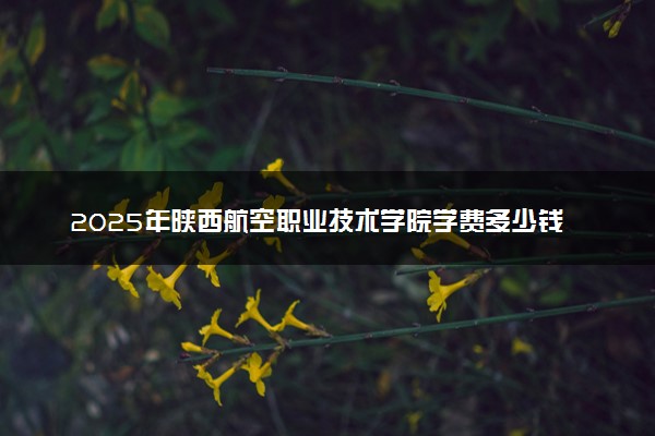 2025年陕西航空职业技术学院学费多少钱一年及各专业收费标准一览表