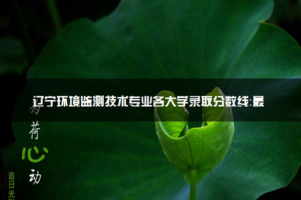 辽宁环境监测技术专业各大学录取分数线：最低237分能上 开设院校及位次