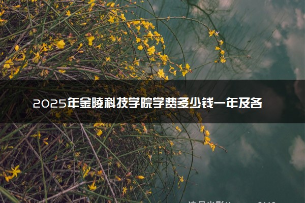 2025年金陵科技学院学费多少钱一年及各专业收费标准一览表