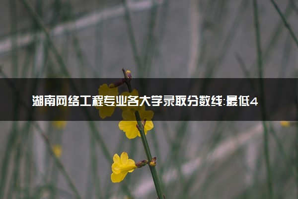 湖南网络工程专业各大学录取分数线：最低423分能上 开设院校及位次