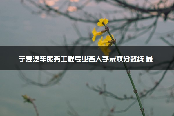宁夏汽车服务工程专业各大学录取分数线：最低384分能上 开设院校及位次