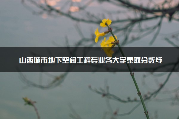 山西城市地下空间工程专业各大学录取分数线：最低391分能上 开设院校及位次
