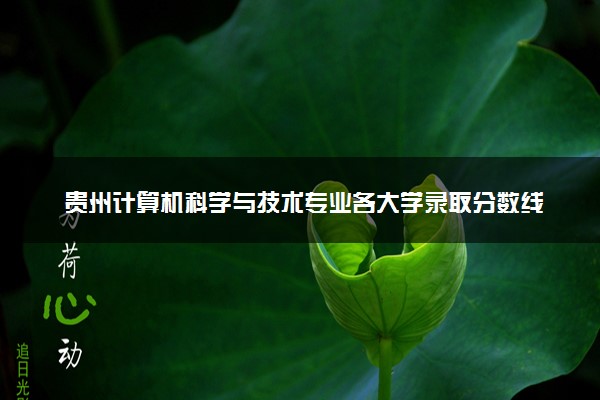 贵州计算机科学与技术专业各大学录取分数线：最低380分能上 开设院校及位次