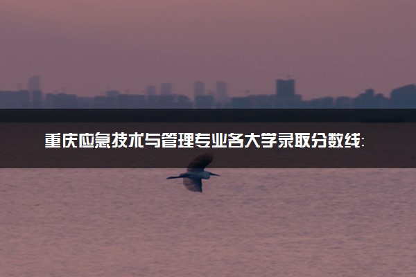 重庆应急技术与管理专业各大学录取分数线：最低436分能上 开设院校及位次