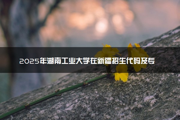 2025年湖南工业大学在新疆招生代码及专业代码 湖南工业大学新疆代码是多少？怎么查询？