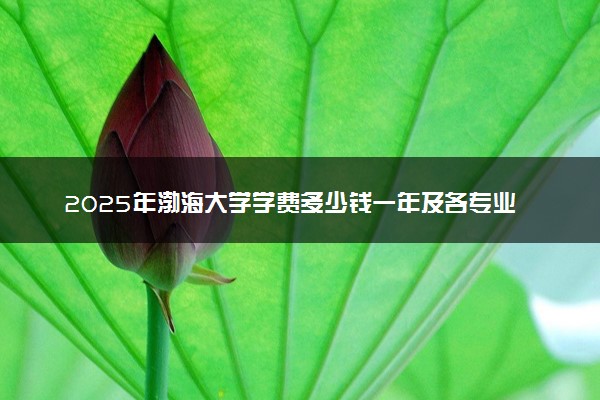2025年渤海大学学费多少钱一年及各专业收费标准一览表