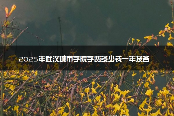 2025年武汉城市学院学费多少钱一年及各专业收费标准一览表