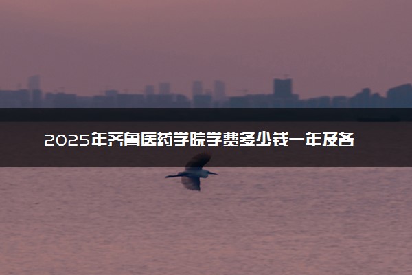 2025年齐鲁医药学院学费多少钱一年及各专业收费标准一览表