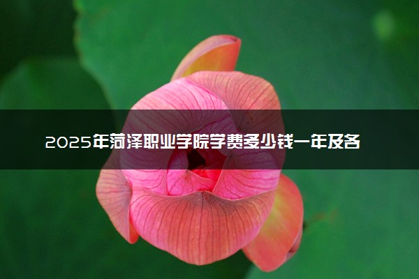 2025年菏泽职业学院学费多少钱一年及各专业收费标准一览表