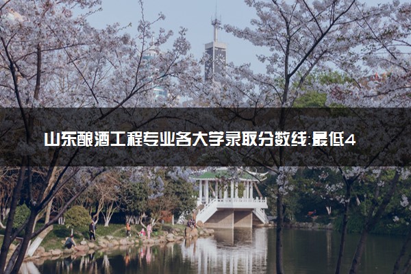 山东酿酒工程专业各大学录取分数线：最低429分能上 开设院校及位次