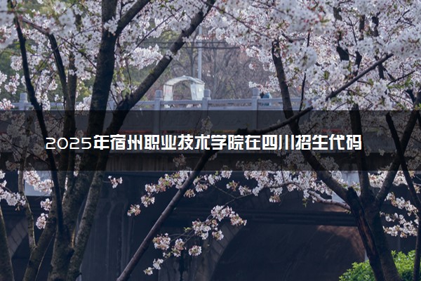 2025年宿州职业技术学院在四川招生代码及专业代码 宿州职业技术学院四川代码是多少？怎么查询？