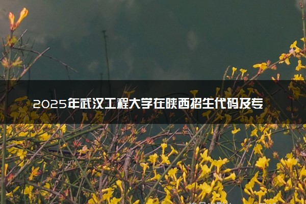 2025年武汉工程大学在陕西招生代码及专业代码 武汉工程大学陕西代码是多少？怎么查询？