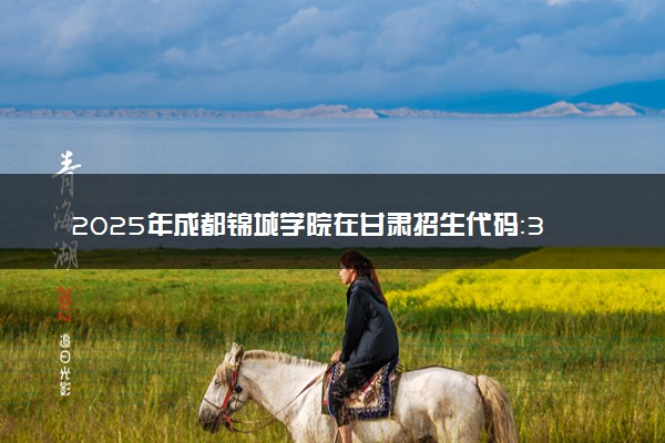 2025年成都锦城学院在甘肃招生代码：3423 专业代码及报考指南
