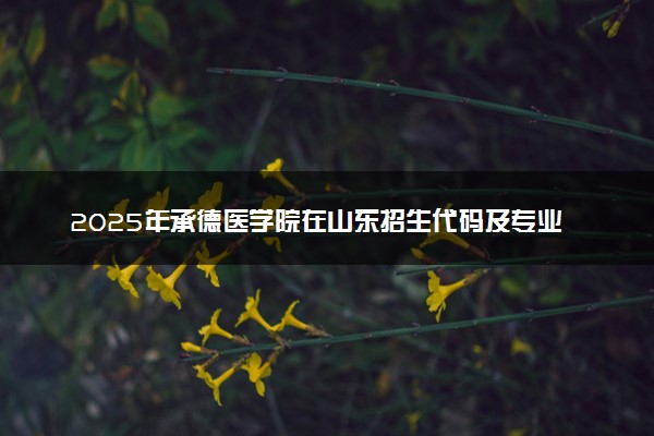 2025年承德医学院在山东招生代码及专业代码 承德医学院山东代码是多少？怎么查询？