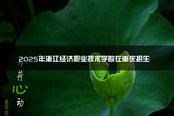 2025年浙江经济职业技术学院在重庆招生代码及专业代码 浙江经济职业技术学院重庆代码是多少？怎么查询？