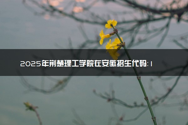 2025年荆楚理工学院在安徽招生代码：1915 专业代码及报考指南