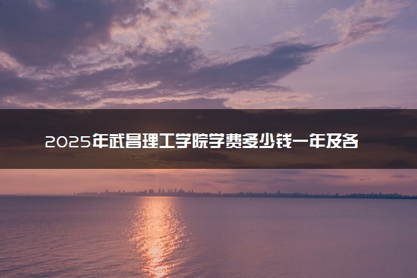 2025年武昌理工学院学费多少钱一年及各专业收费标准一览表