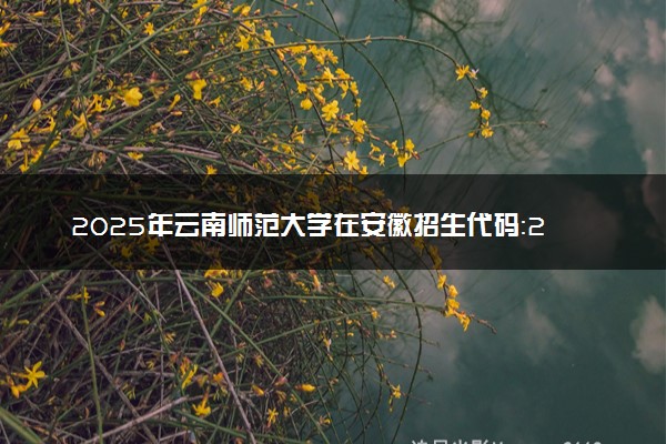 2025年云南师范大学在安徽招生代码：2880 专业代码及报考指南