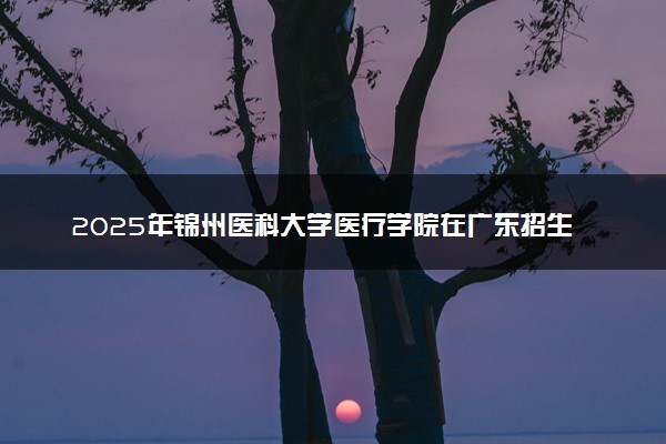2025年锦州医科大学医疗学院在广东招生代码及专业代码 锦州医科大学医疗学院广东代码是多少？怎么查询？
