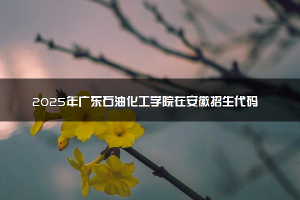 2025年广东石油化工学院在安徽招生代码及专业代码 广东石油化工学院安徽代码是多少？怎么查询？