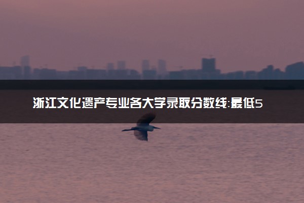浙江文化遗产专业各大学录取分数线：最低534分能上 开设院校及位次
