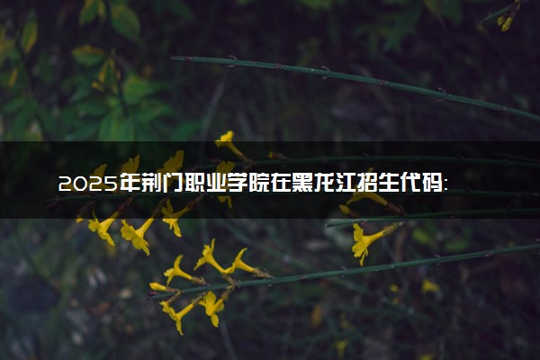 2025年荆门职业学院在黑龙江招生代码：5151 专业代码及报考指南