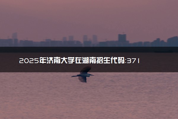 2025年济南大学在湖南招生代码：3716 专业代码及报考指南
