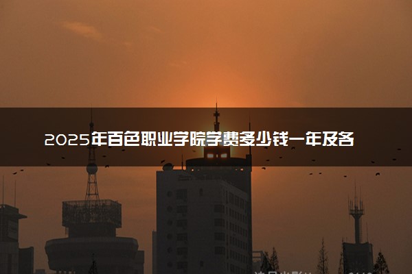 2025年百色职业学院学费多少钱一年及各专业收费标准一览表