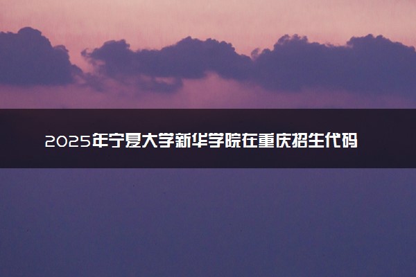 2025年宁夏大学新华学院在重庆招生代码：6408 专业代码及报考指南