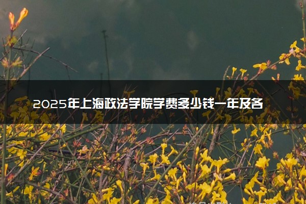 2025年上海政法学院学费多少钱一年及各专业收费标准一览表