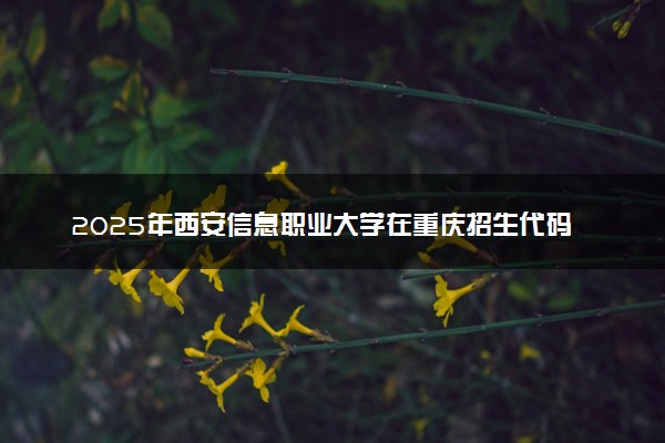 2025年西安信息职业大学在重庆招生代码及专业代码 西安信息职业大学重庆代码是多少？怎么查询？
