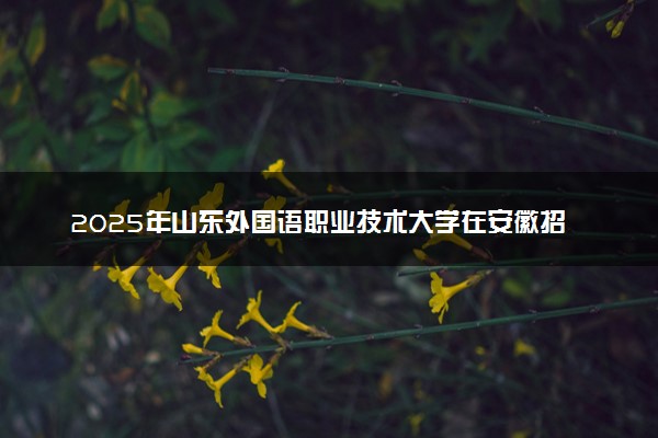 2025年山东外国语职业技术大学在安徽招生代码及专业代码 山东外国语职业技术大学安徽代码是多少？怎么查询？