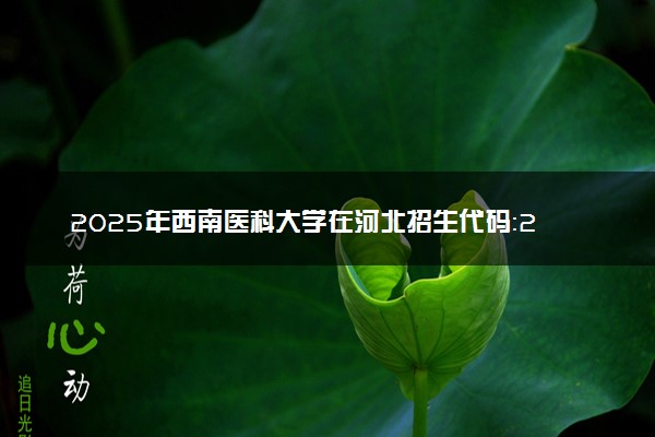 2025年西南医科大学在河北招生代码：2264 专业代码及报考指南